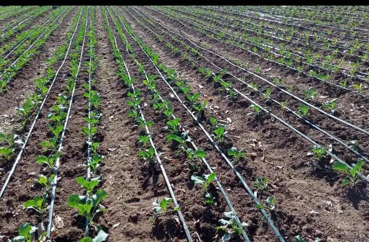 DrilSol(EA) Ltd. products irrigation Systems